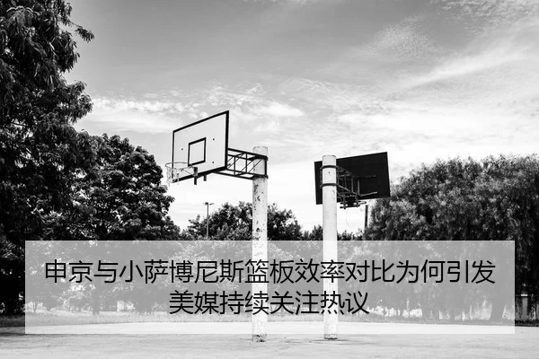 申京与小萨博尼斯篮板效率对比为何引发美媒持续关注热议